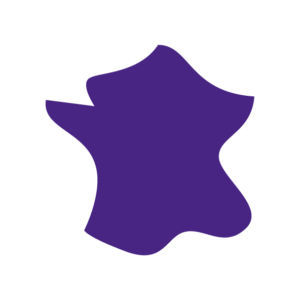 picto-france-vyv