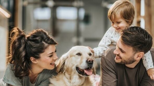 assurance santé animale